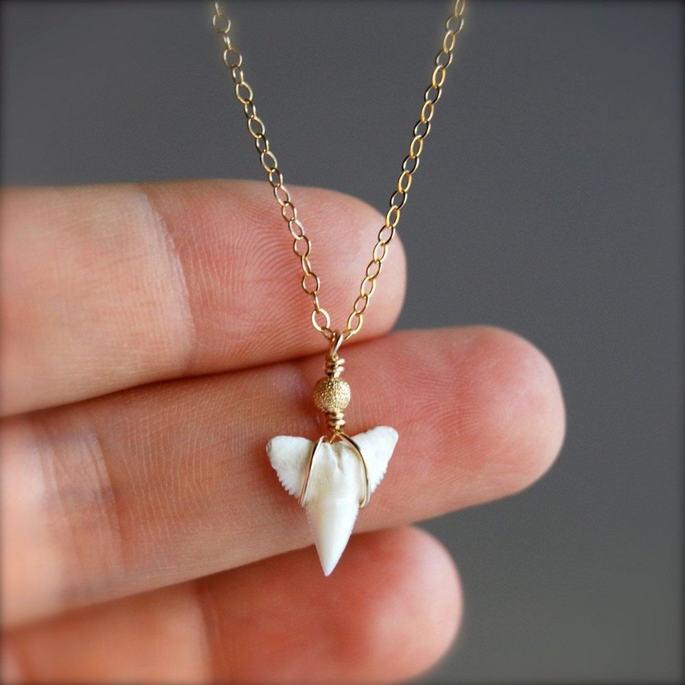 how to make shark tooth necklace