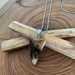 petrified wood jewelry